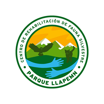 Diseño de imagen corporativa. Parque Llapem, año 2023